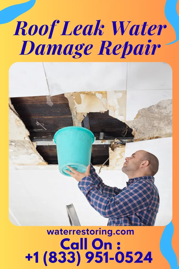 Roof Leak Water Damage Repair in Las Nutrias, NM